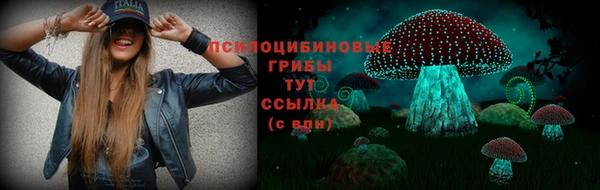 гидропоника Нея