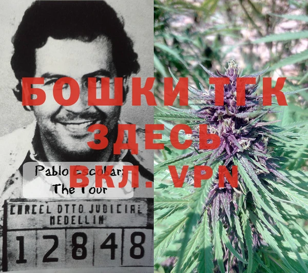 гидропоника Нея