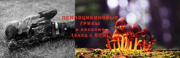 дживик Нефтекумск