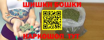 шишки Моздок