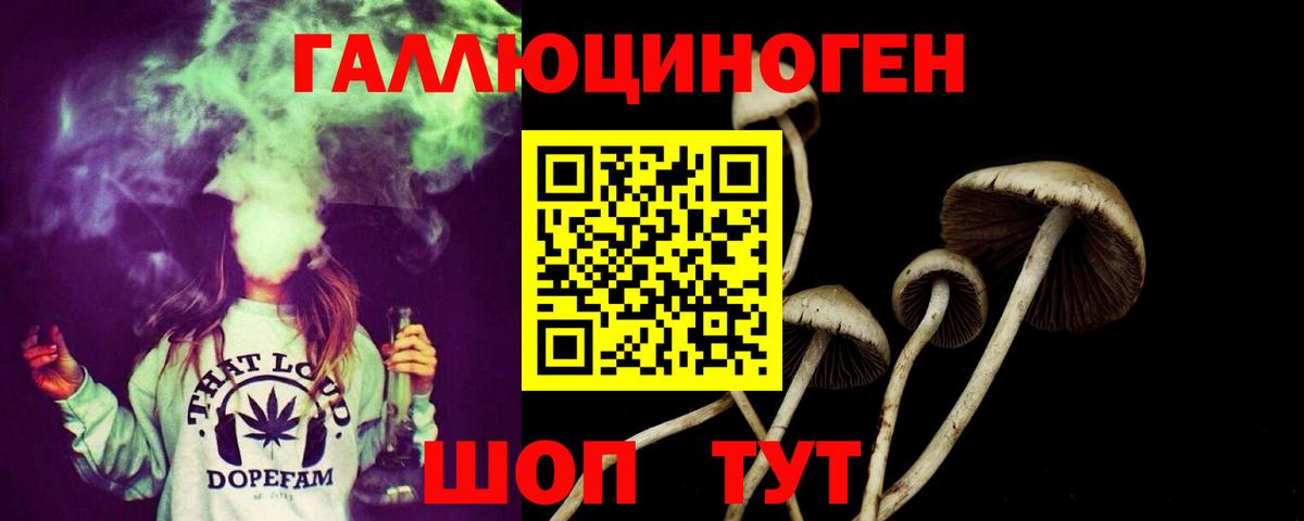 Родники  Галлюциногенные грибы прущие грибы  Псилоцибиновые грибы MAGIC MUSHROOMS  Вход с VPN 