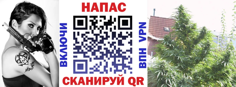 Каннабис OG Kush  цена наркотик  Родники 